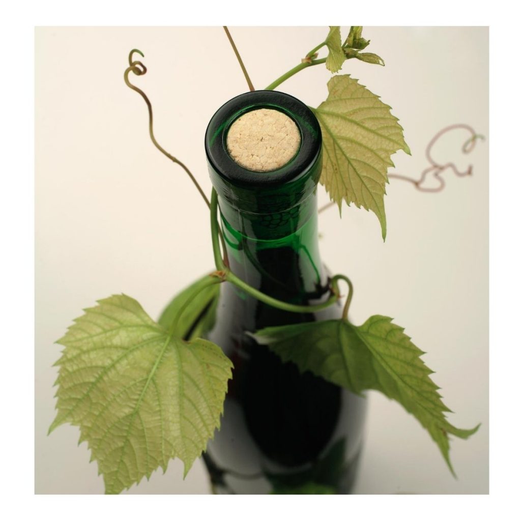 Botella vino blanco Meiga do Pulpo